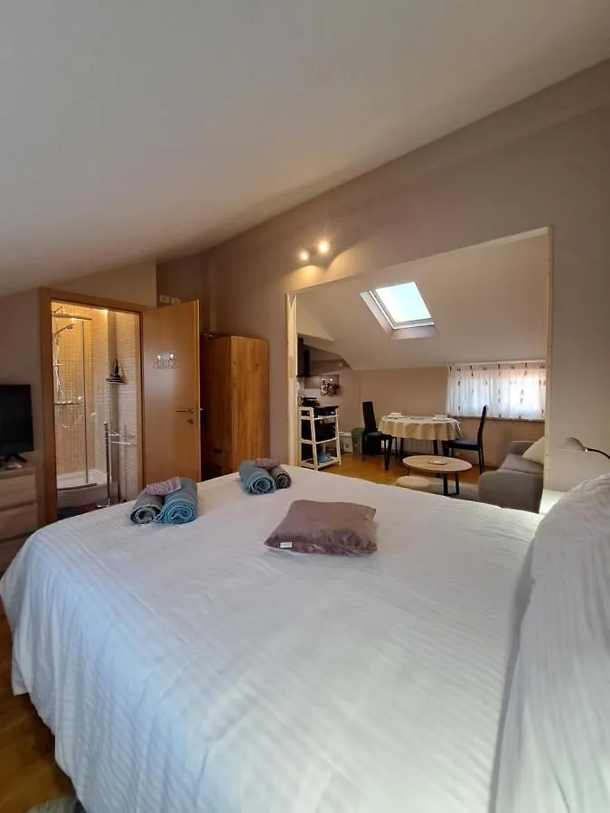 Casa Antonio With Swimming Pool Apartment Novigrad  Croatia