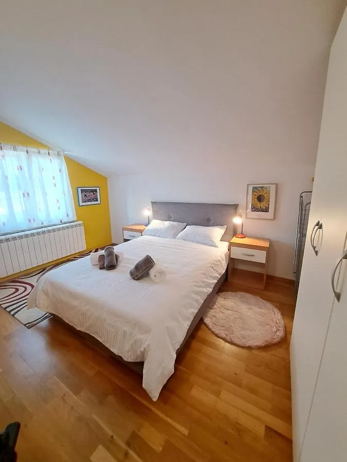 Casa Antonio With Swimming Pool Apartment Novigrad