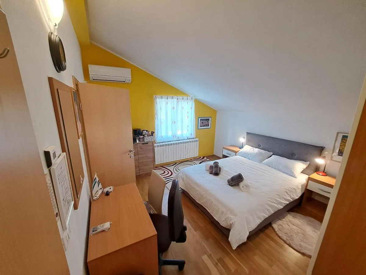 Casa Antonio With Swimming Pool Apartment Novigrad