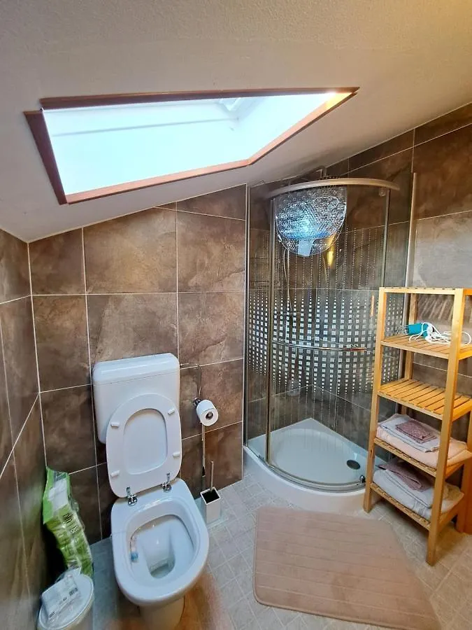 Casa Antonio With Swimming Pool Apartment Novigrad
